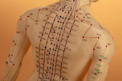 fdb21be736_50159836_meridiens-acupuncture-birgit-reitz-hofmann-fotolia.jpg